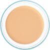 Kryolan-Dermacolor-Camouflage-Creme-30g.jpg